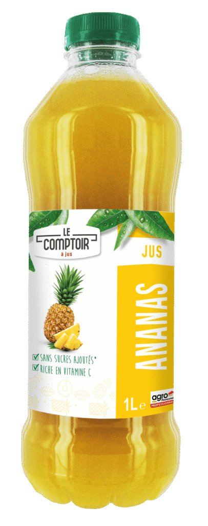 Jus Le Comptoir à Jus Ananas
