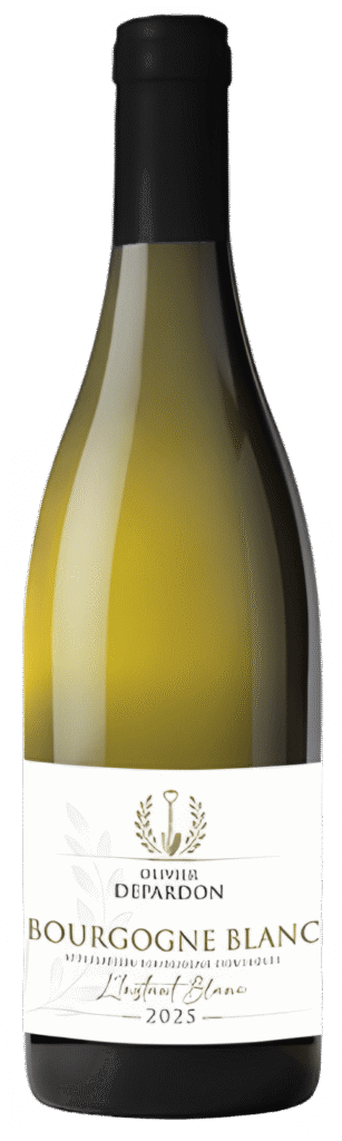 Olivier Depardon Bourgogne Chardonnay