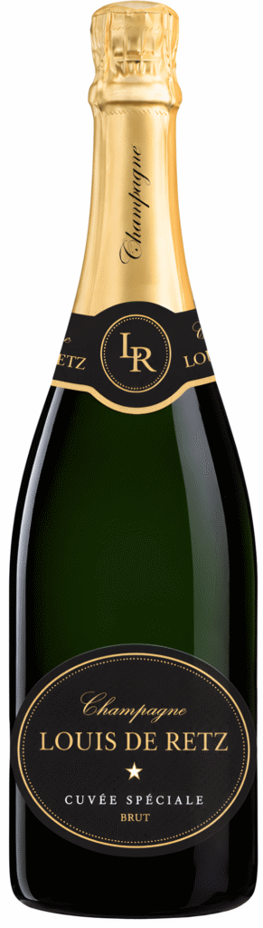 Louis de Retz Brut
